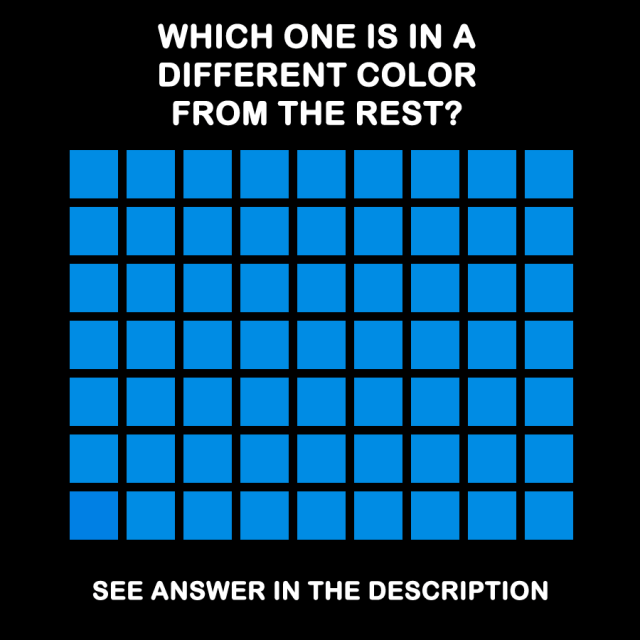 12036979_1643605589244313_7961841919808905503_n